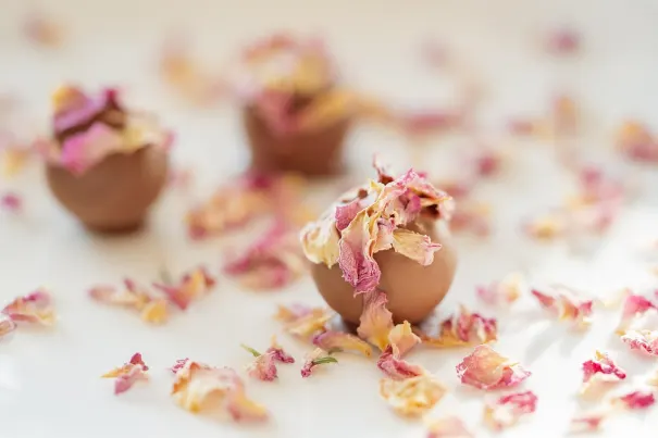 Casino Chilli Spins Aip Android/iOS